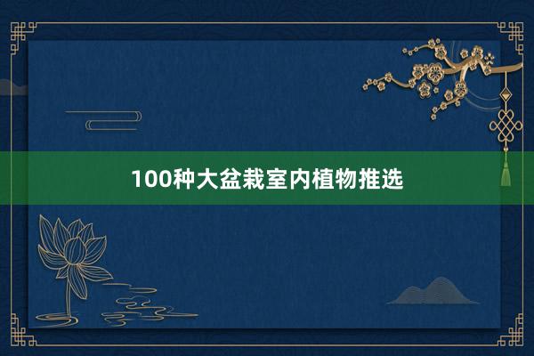 100种大盆栽室内植物推选