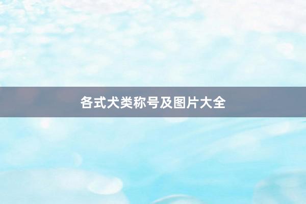各式犬类称号及图片大全